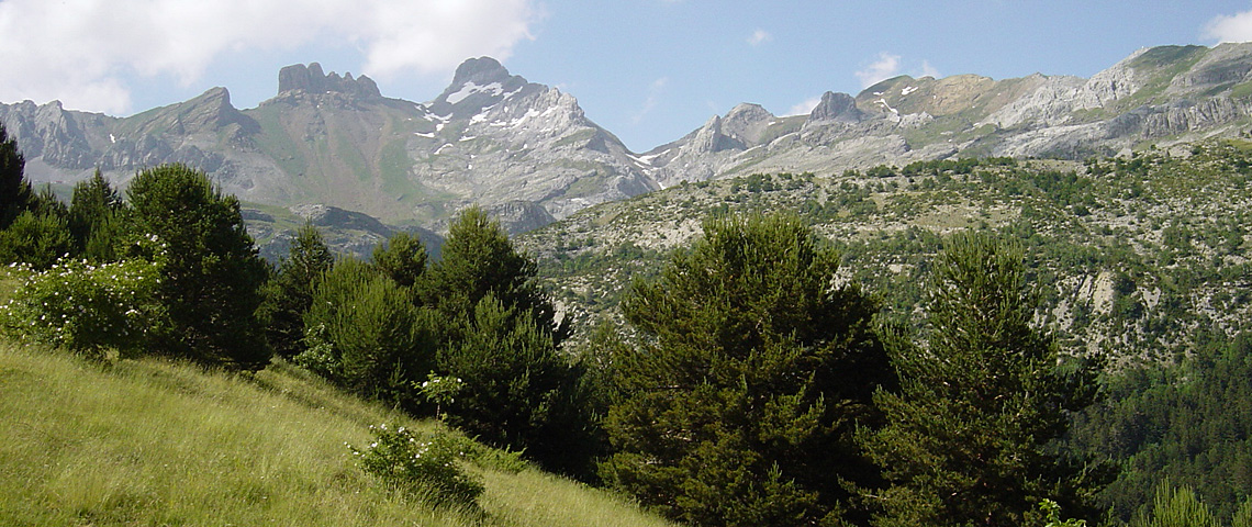 El Valle del Aragón te espera. Pirineos